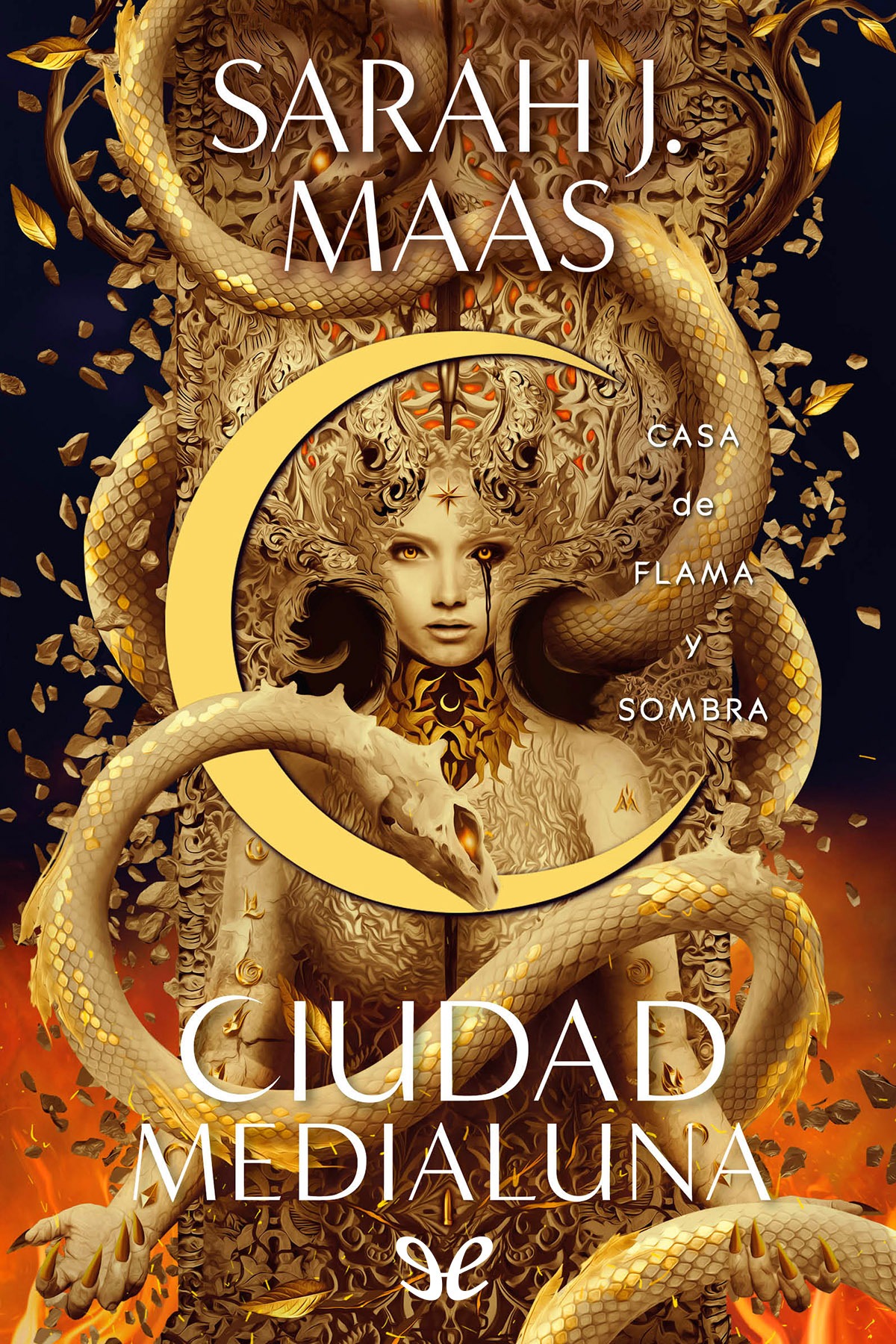 Portada de Casa de llama y sombra