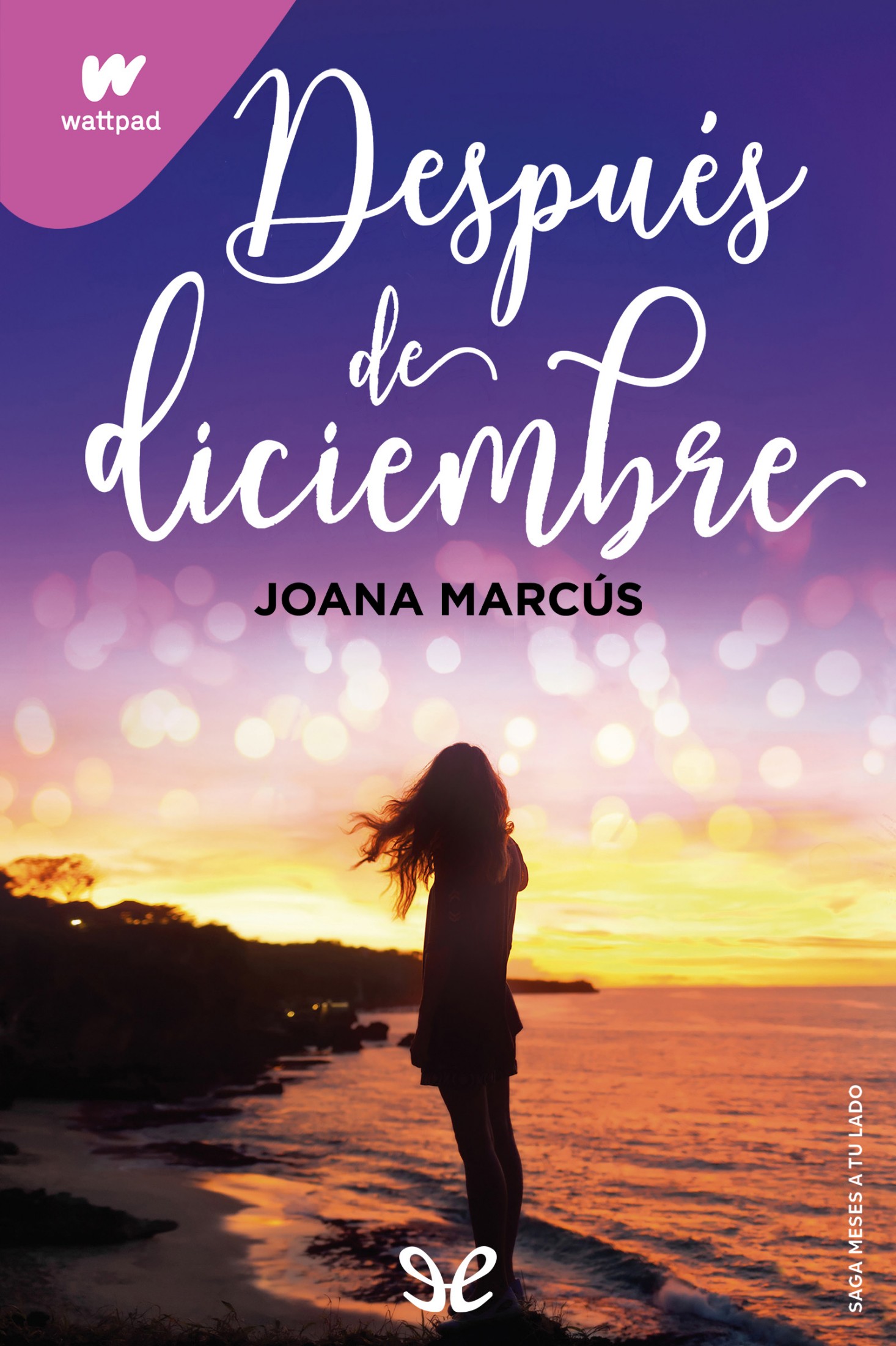 Portada de Después de diciembre
